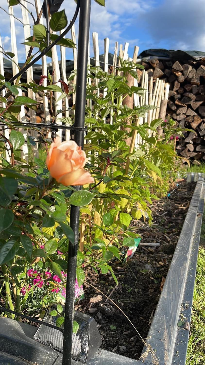 Appartement Buchwald 麦舒芬 外观 照片